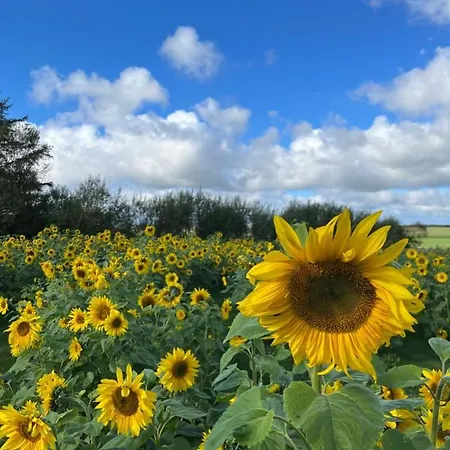 3 - Hawkraft Kulturhotel * Vestervig